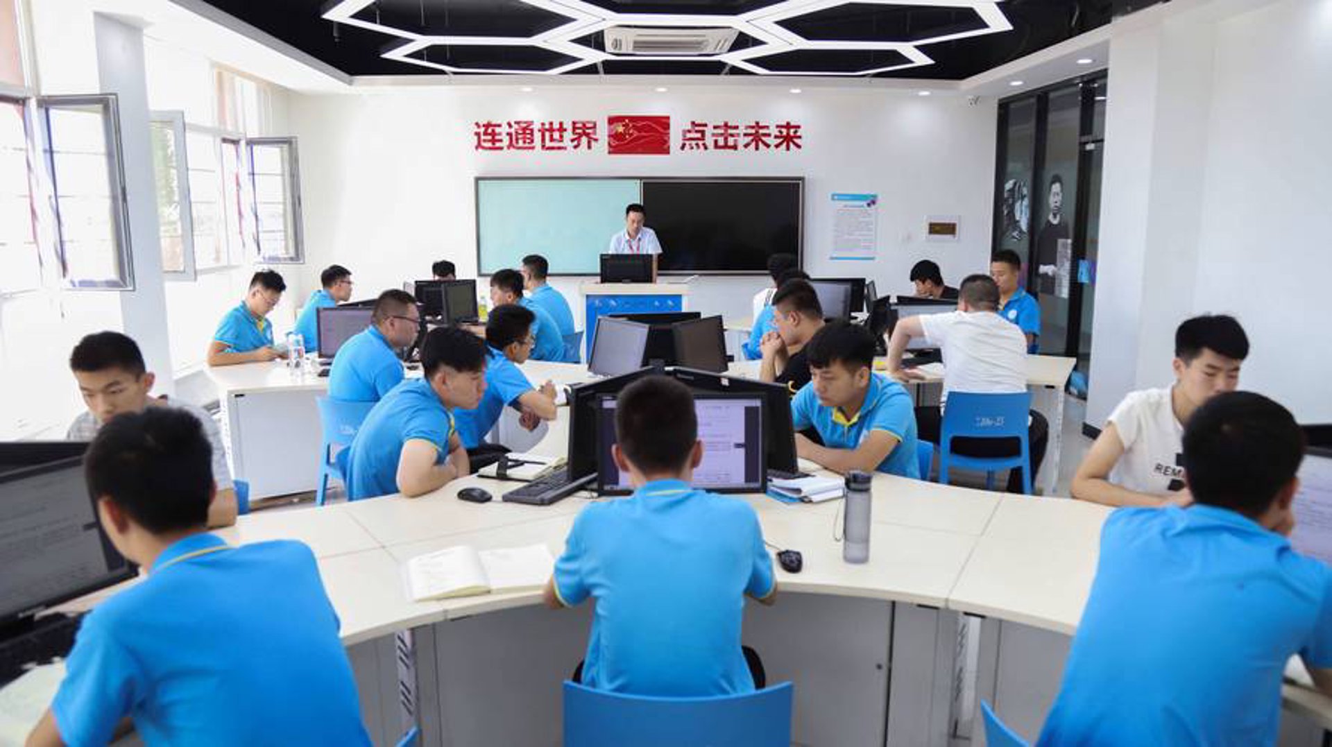 碧雅网络科技